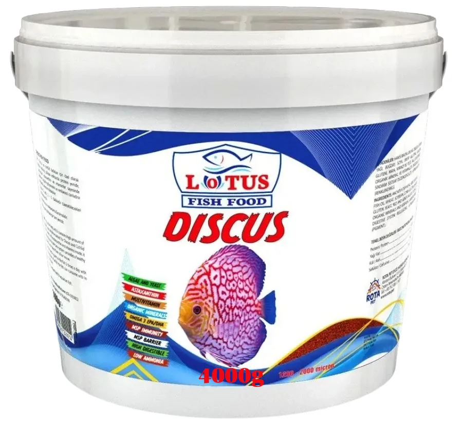 Lotus • Discus • 4 kg kova örneği